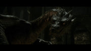 The Hobbit: The Desolation of Smaug [DVD + Digital] DVDs & Blu-Rays Warner Bros.   