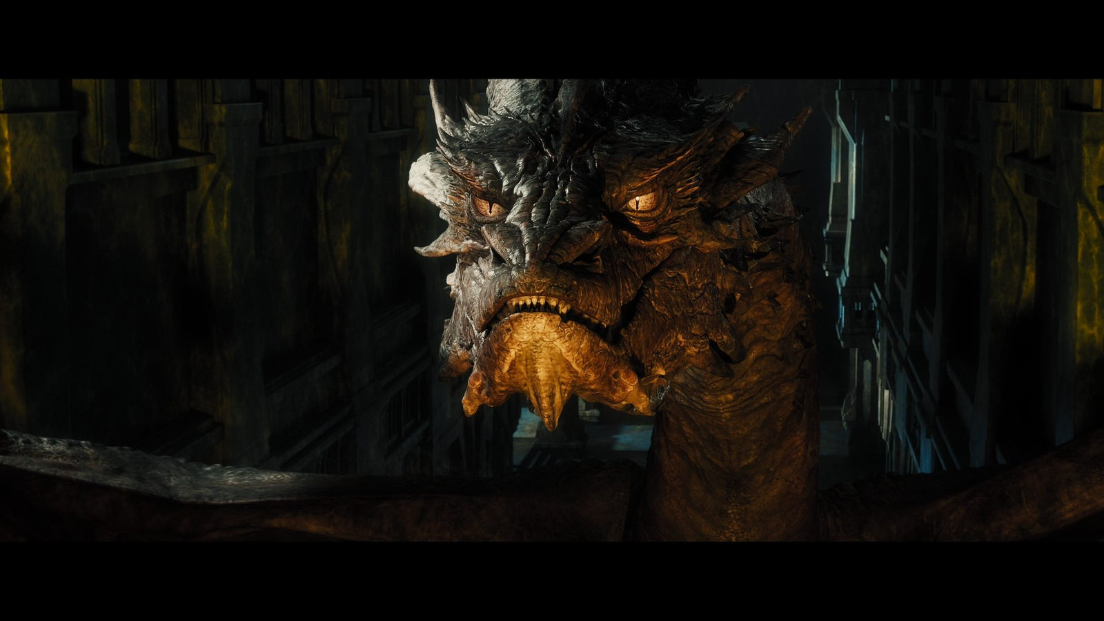 The Hobbit: The Desolation of Smaug [DVD + Digital] DVDs & Blu-Rays Warner Bros.   