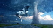 Twister [DVD] DVDs & Blu-Rays Warner Bros.   