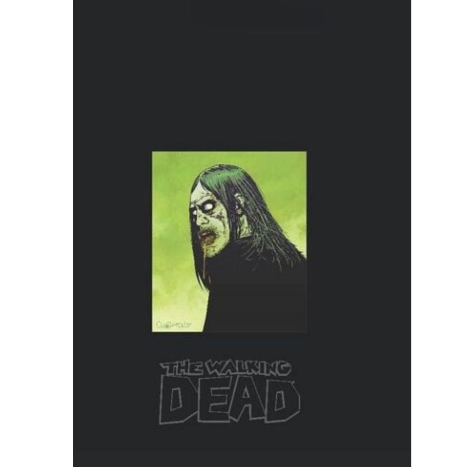Walking Dead Omnibus HC: Vol 2 [Deluxe Hardcover] 2009 Hardcover Image Comics