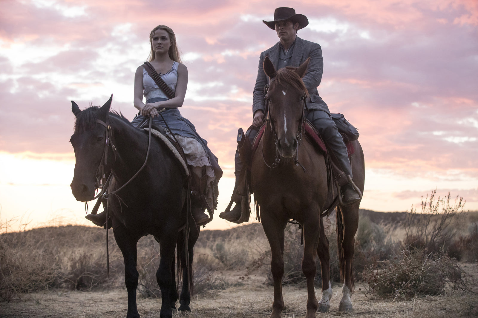 Westworld: The Complete Series [Blu-Ray + 4K UHD] Blu-Ray Box Set / Series Warner Bros.   