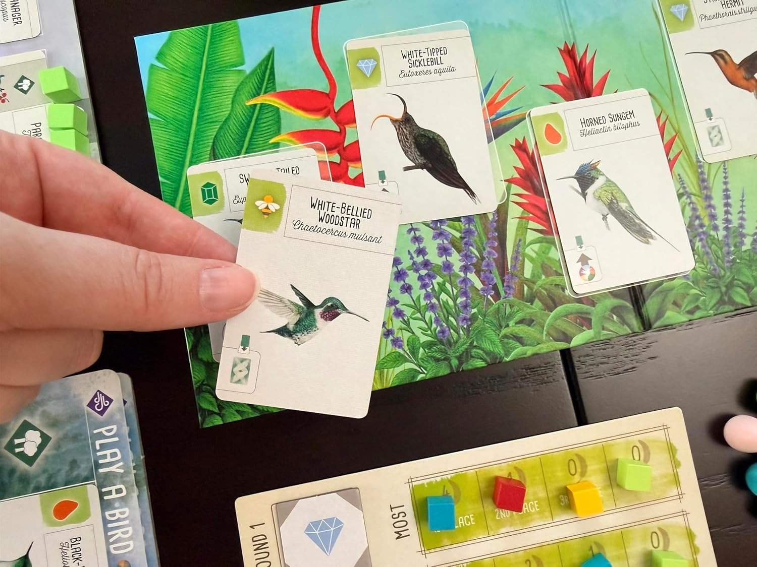 Wingspan - Americas Expansion [Board Game, 1-5 Players] Board Game Stonemaier Games