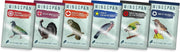 Wingspan - Fan Designed Bird Packs Display Box - 6 Packs [Board Game, 1-5 Players] Board Game Stonemaier Games