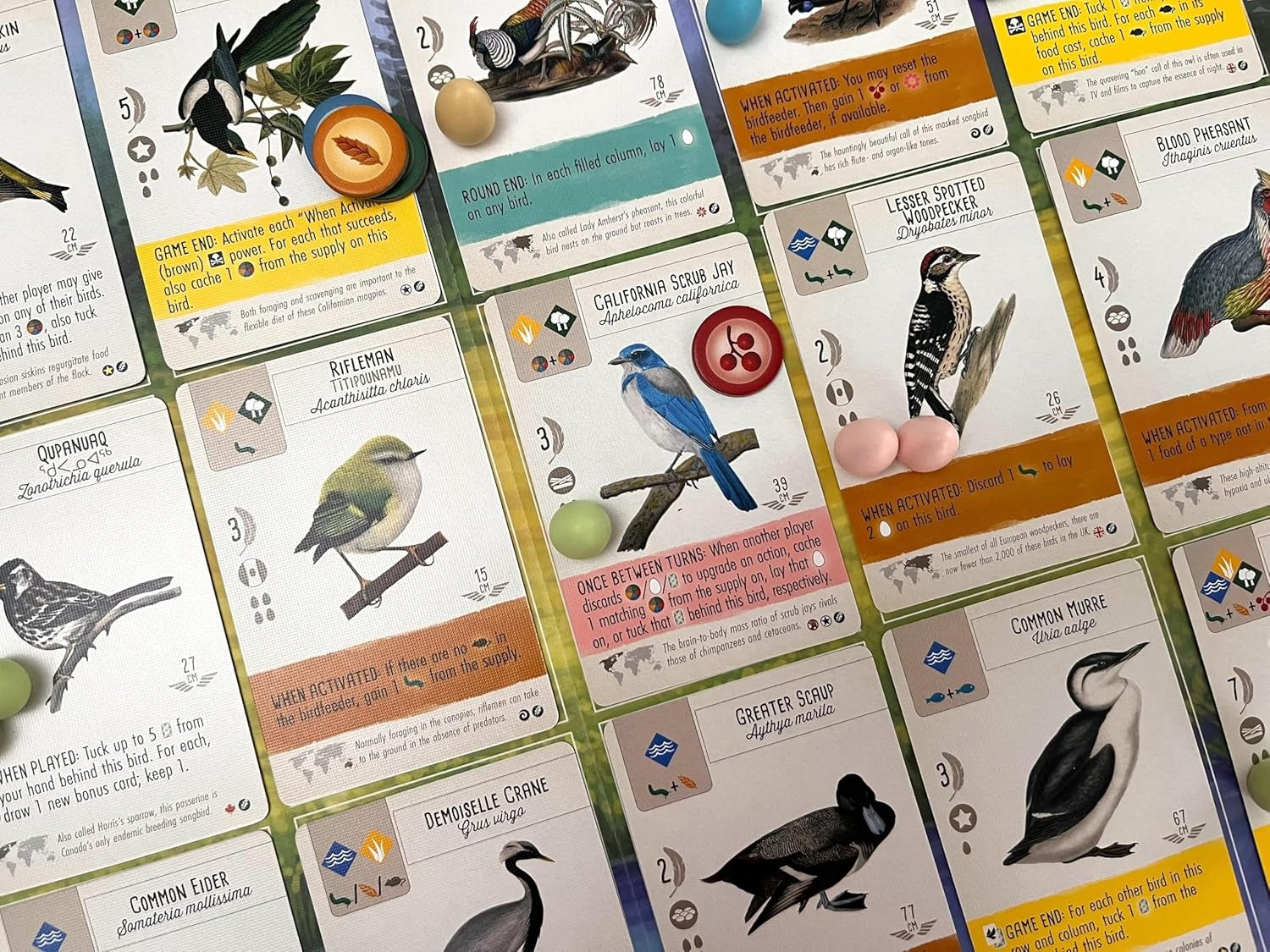 Wingspan - Fan Designed Bird Packs Display Box - 6 Packs [Board Game, 1-5 Players] Board Game Stonemaier Games