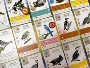 Wingspan - Fan Designed Bird Packs Display Box - 6 Packs [Board Game, 1-5 Players] Board Game Stonemaier Games