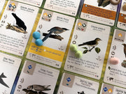 Wingspan - Fan Designed Bird Packs Display Box - 6 Packs [Board Game, 1-5 Players] Board Game Stonemaier Games