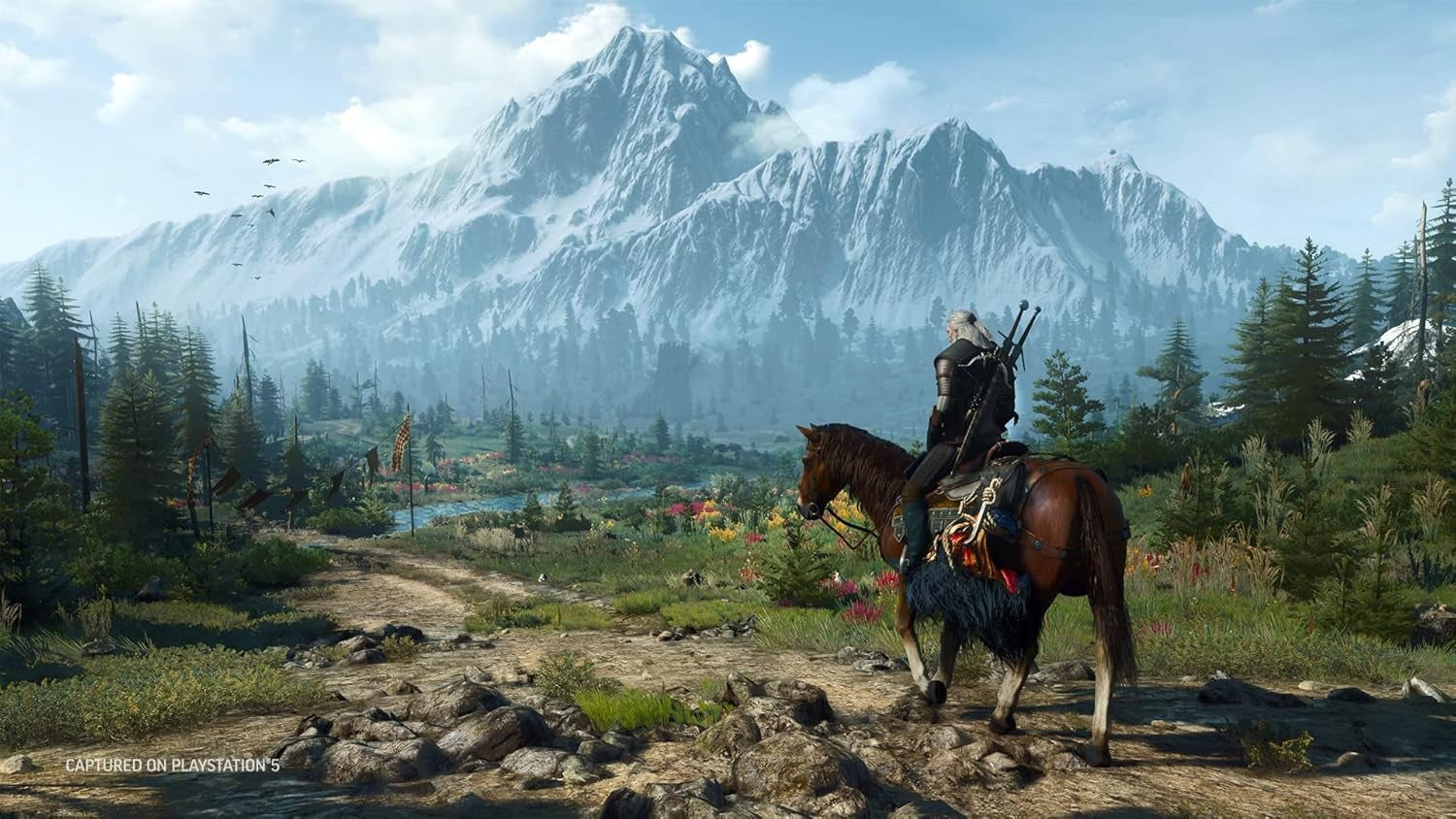 Witcher 3: Wild Hunt - Complete Edition [PlayStation 5] PlayStation 5 Video Game Warner Brothers