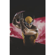 Wolverine & Kitty Pryde: #1 [Adi Granov Virgin CVR G - 1:100] 2025
