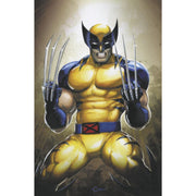 Wolverine: #14 [Clayton Crain Virgin - 1:50] 2024 Comics Marvel Comics