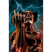 Wolverine: #22 [Dan Panosian Virgin - 1:100] 2024 Comics Marvel Comics