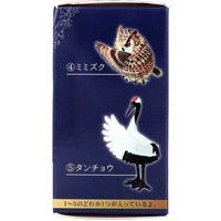 Yell: Bird Butler Blind Box Toys & Games Yell Co.