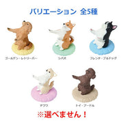 Yell: Dog Will Take Care of You - Blind Box Toys & Games Yell Co.