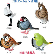 Yell: Gassho Praying Birds Blind Box Toys & Games Yell Co.
