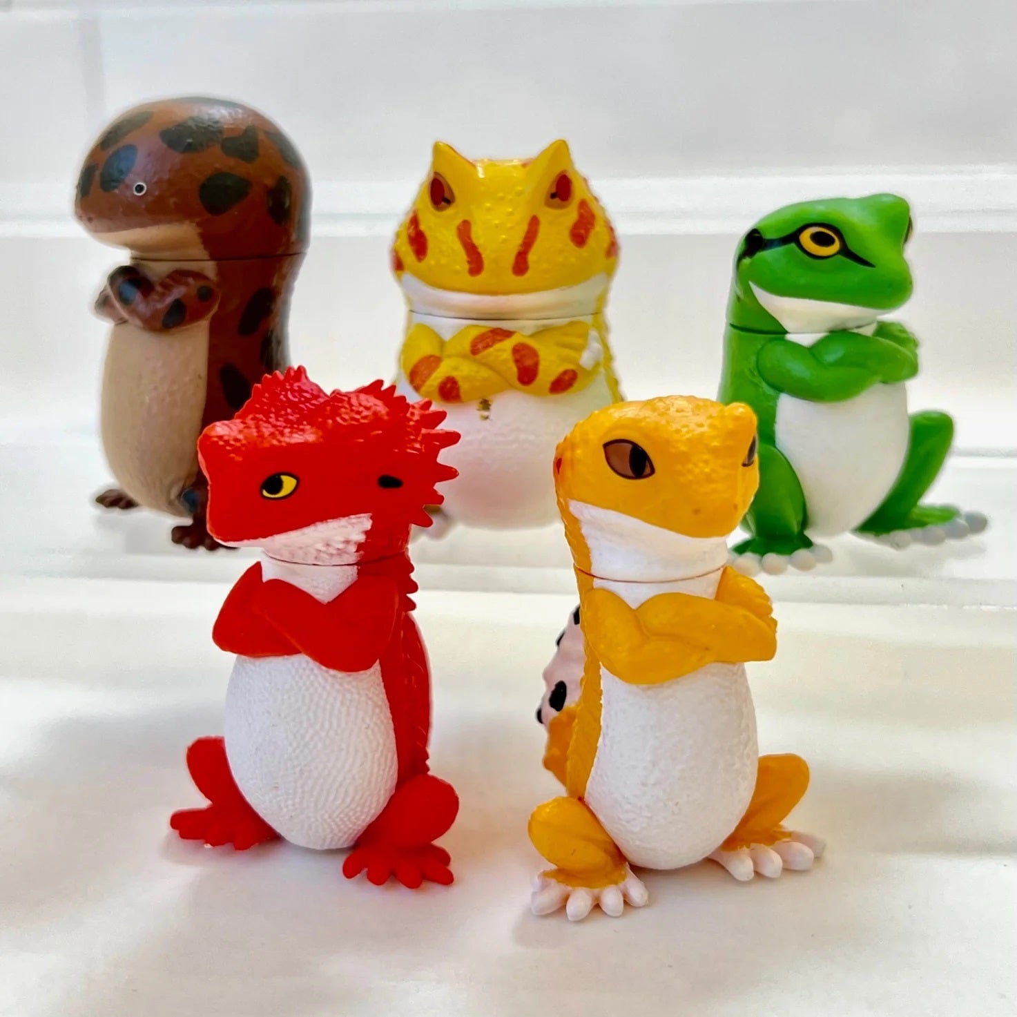 Yell: Reptiles With Attitude Blind Box Toys & Games Yell Co.