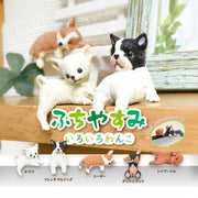 Yell: Resting on the Edge Various Dogs - Blind Box Toys & Games Yell Co.