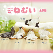 Yell: Sleepy Still Sleepy - Blind Box Toys & Games Yell Co.