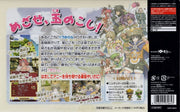 Atelier Annie: Alchemists of Sera Island (Premium Box) (JP) [Nintendo DS]