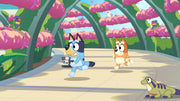 Bluey's Happy Snaps [Xbox Series X] Xbox Series X Video Game Bandai Namco