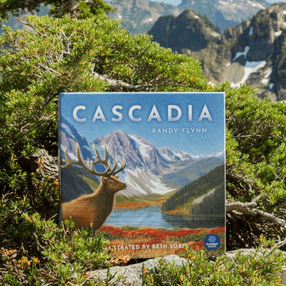 Cascadia [Board Game, 1-4 Players] Board Game AEG