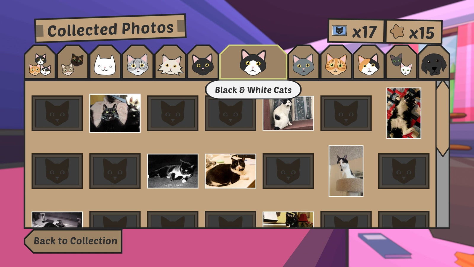 Catlateral Damage: Remeowstered [Nintendo Switch] Nintendo Switch Video Game Limited Run Games   