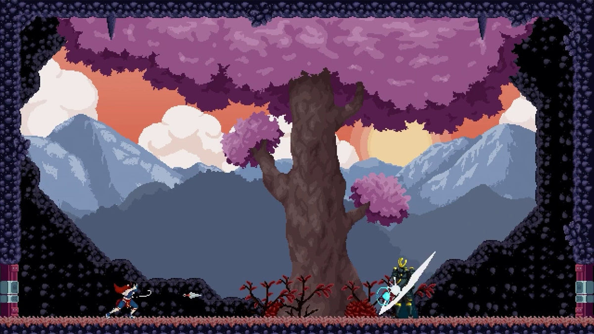 Chronicles of 2 Heroes: Amaterasu's Wrath [Nintendo Switch] Nintendo Switch Video Game Tesura Games   