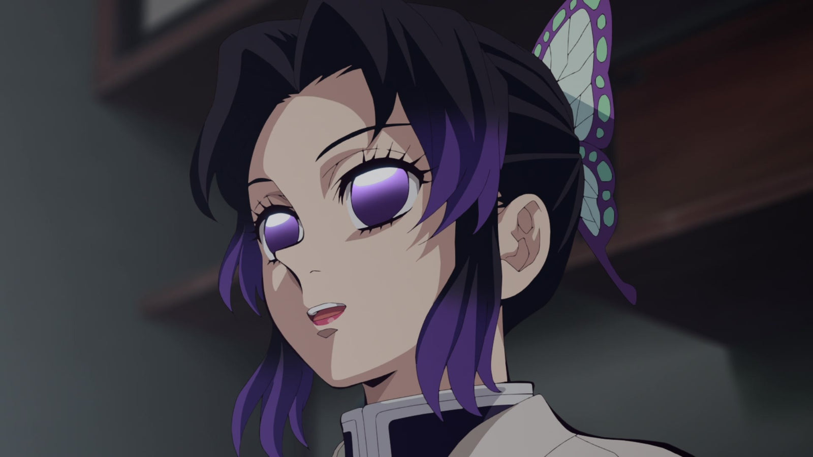 Demon Slayer: Kimetsu no Yaiba Hashira Training Arc Limited Edition [Blu-Ray Box Set] Blu-Ray Box Set / Series Aniplex of America