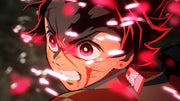Demon Slayer: Kimetsu no Yaiba Volume 2 - Limited Edition [Blu-Ray] Blu-Ray Box Set / Series Aniplex of America