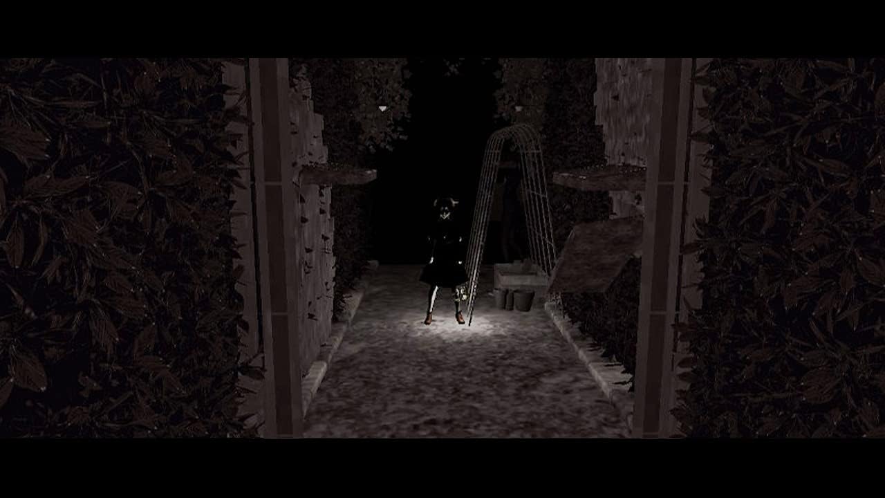 Dollhouse [Nintendo Switch] Nintendo Switch Video Game Soedesco   