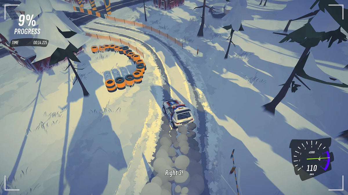 #Drive Rally [Nintendo Switch] Nintendo Switch Video Game PM Studios