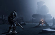 Fade to Silence [PlayStation 4] PlayStation 4 Video Game THQ Nordic   