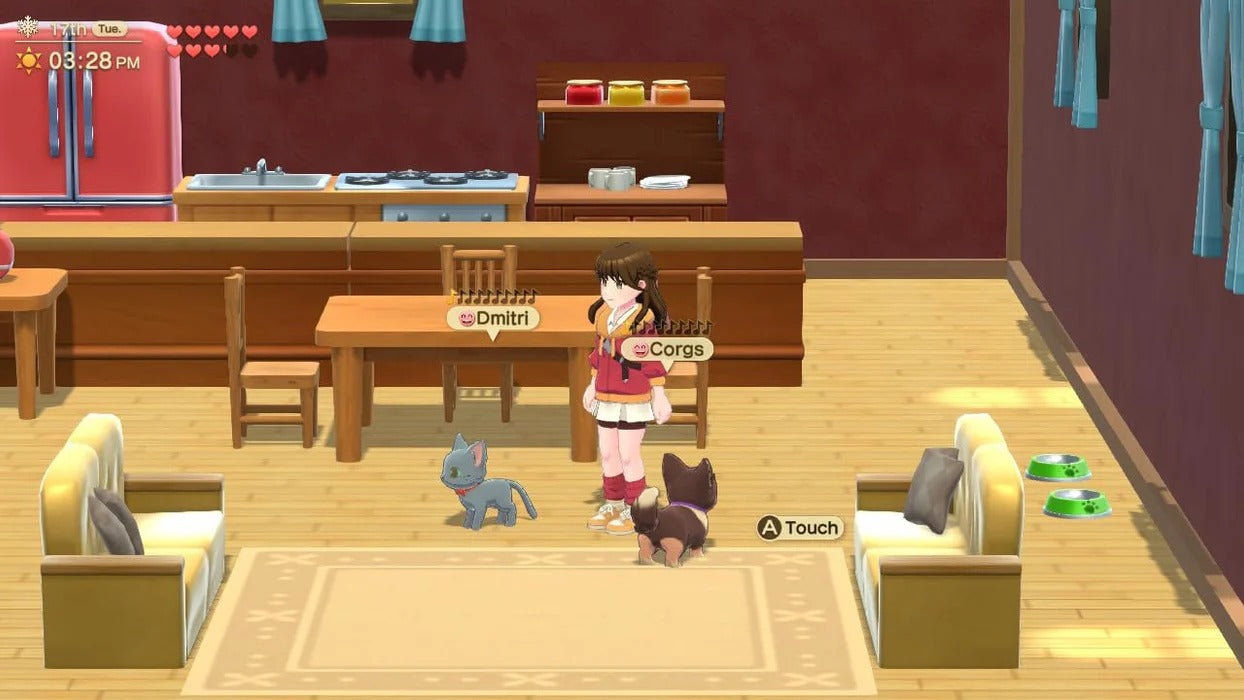 Harvest Moon: Home Sweet Home - Special Edition [Nintendo Switch] Nintendo Switch Video Game Natsume