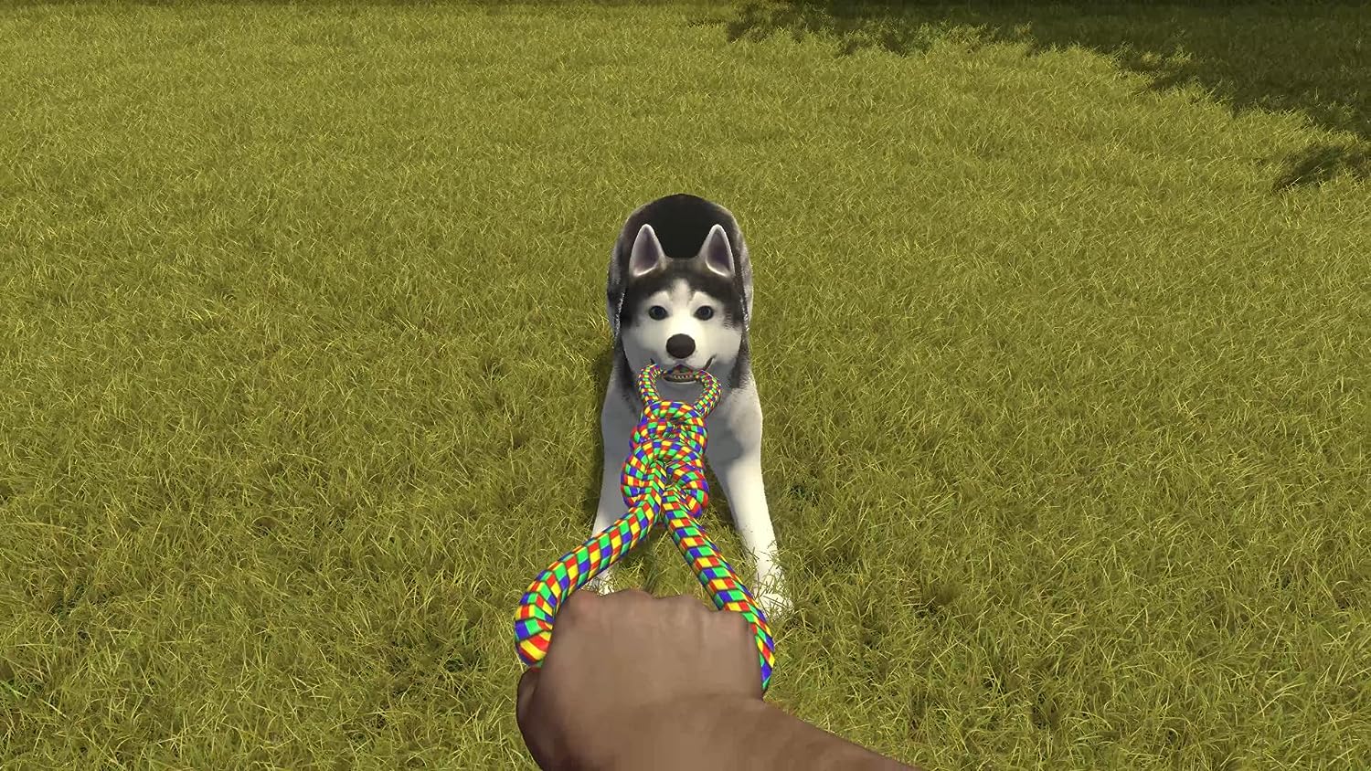 House Flipper: Pets Edition [Nintendo Switch] Nintendo Switch Video Game Merge Games   