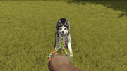 House Flipper: Pets Edition [Nintendo Switch] Nintendo Switch Video Game Merge Games   