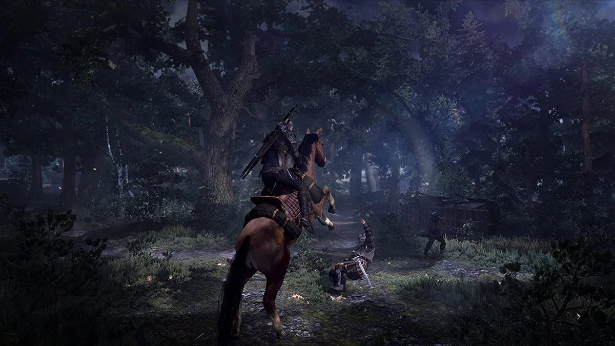 Witcher 3: Wild Hunt [Xbox One] Xbox One Video Game Warner Brothers