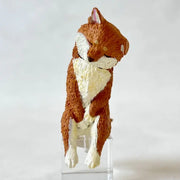 Yell: Let's Sleep Animals - Blind Box Toys & Games Yell Co.