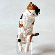 Yell: Let's Sleep Animals - Blind Box Toys & Games Yell Co.