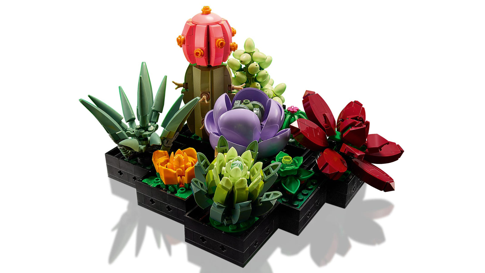 LEGO: Botanicals [Succulents #10309] LEGO LEGO