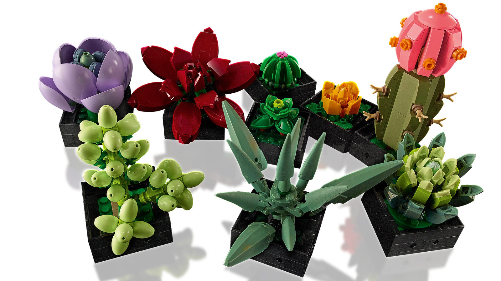 LEGO: Botanicals [Succulents #10309] LEGO LEGO