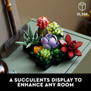 LEGO: Botanicals [Succulents #10309] LEGO LEGO