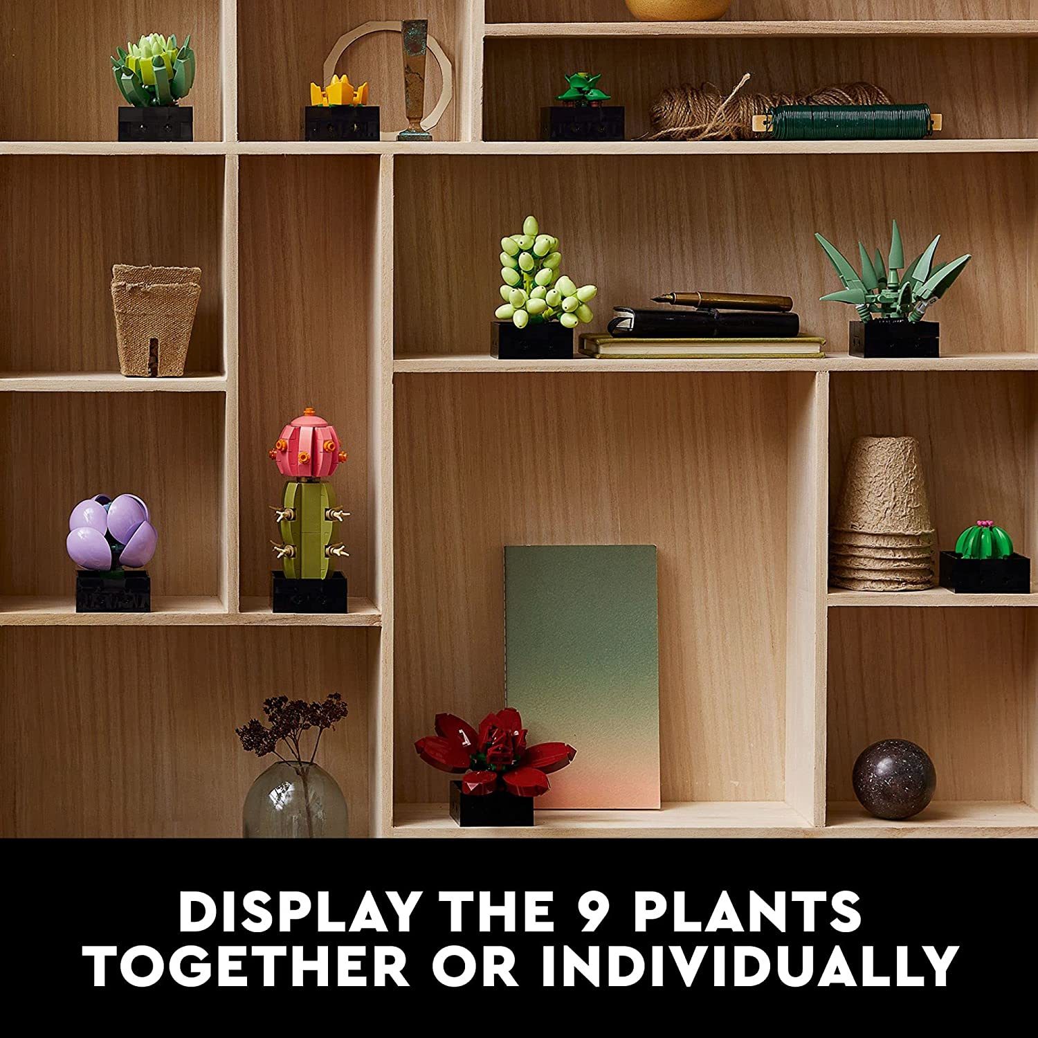 LEGO: Botanicals [Succulents #10309] LEGO LEGO