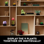 LEGO: Botanicals [Succulents #10309] LEGO LEGO
