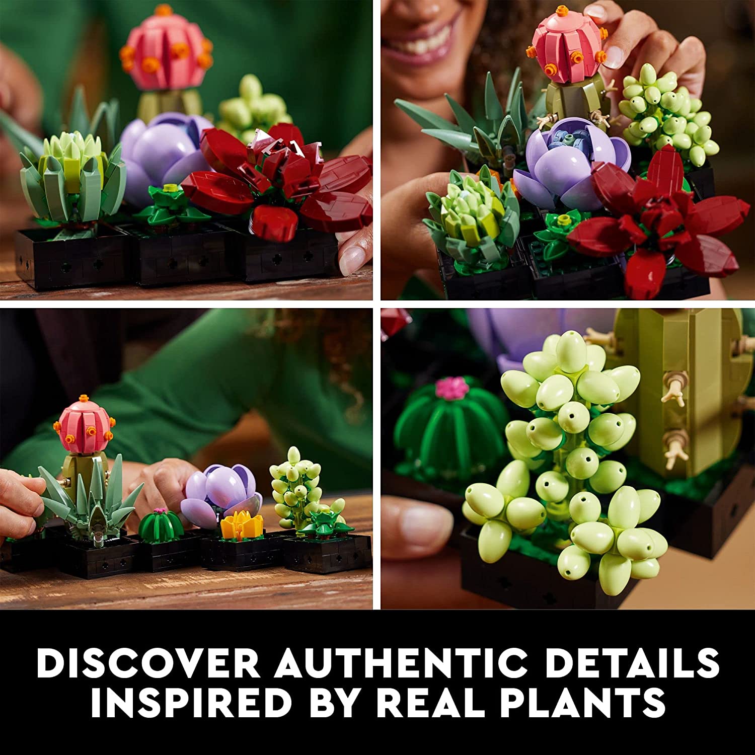LEGO: Botanicals [Succulents #10309] LEGO LEGO