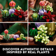 LEGO: Botanicals [Succulents #10309] LEGO LEGO