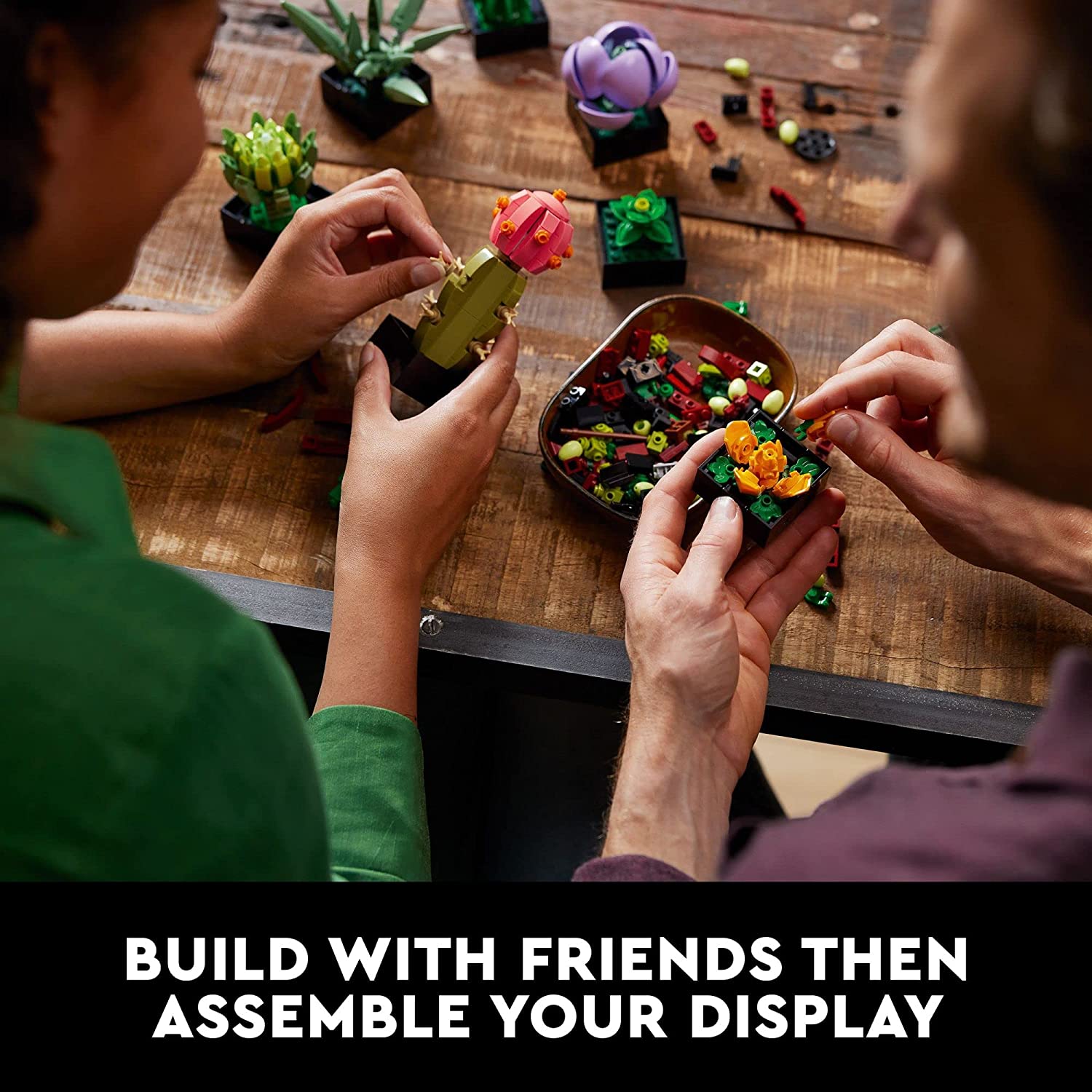 LEGO: Botanicals [Succulents #10309] LEGO LEGO
