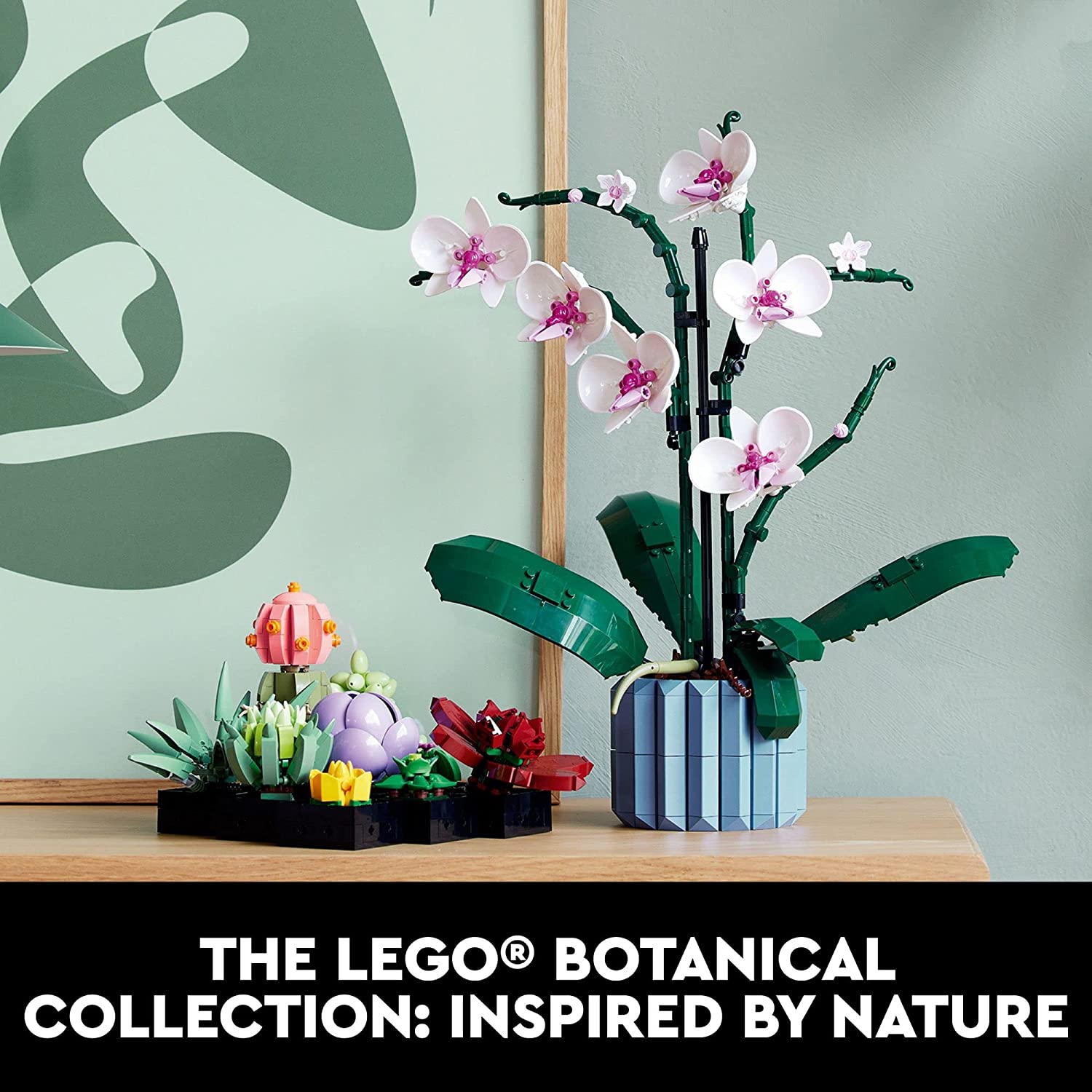 LEGO: Botanicals [Succulents #10309] LEGO LEGO