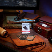 Magic: The Gathering TCG: Assassin’s Creed Beyond Booster Box - 24 Packs Card Game Wizards of the Coast