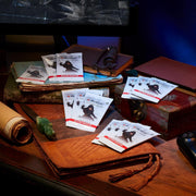 Magic: The Gathering TCG: Assassin’s Creed Beyond Booster Box - 24 Packs Card Game Wizards of the Coast