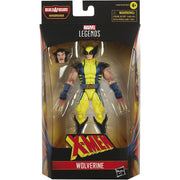 Marvel Legends Series: X-Men - Wolverine 6" Action Figure Toys & Games Hasbro