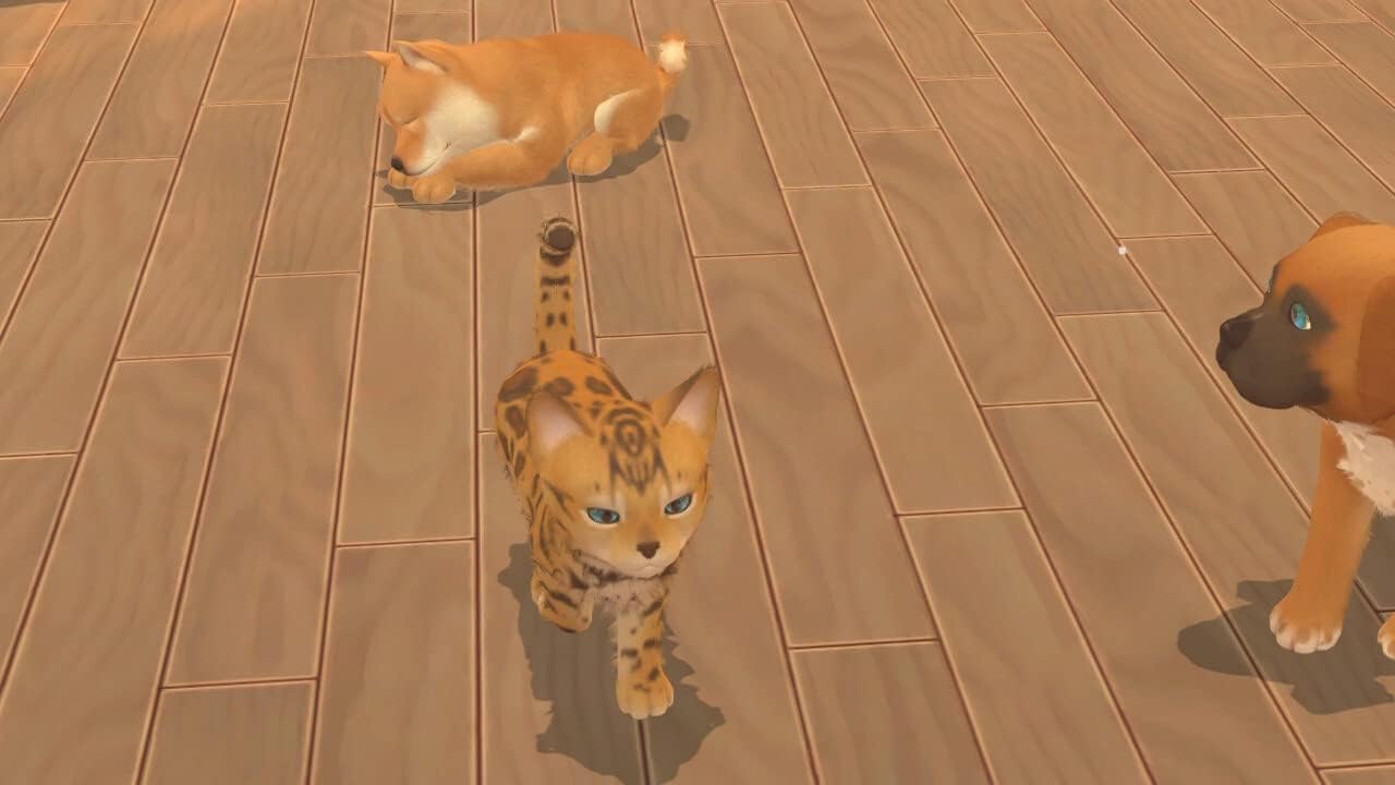 My Universe Puppies and Kittens [PlayStation 4] PlayStation 4 Video Game Microids   