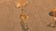 My Universe Puppies and Kittens [PlayStation 4] PlayStation 4 Video Game Microids   